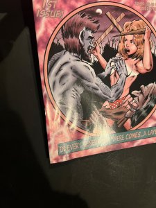 Boffy the Vampire Layer #1 (2000) GD