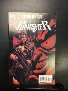 Punisher #3 (2009)