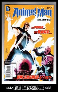 Animal Man #25 (2014)   / ID#02