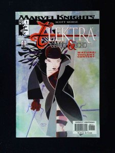 Elektra Glimpse And Echo #1  Marvel Comics 2002 Vf+