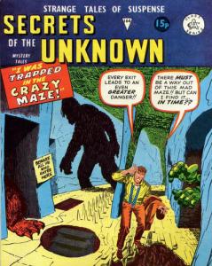 I Was Trapped in the Crazy Maze!