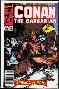 Conan the Barbarian #232 (1990) Conan