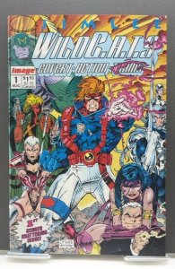 WildC.A.T.s: Covert Action Teams #1 (1992)