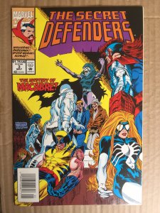 The Secret Defenders #3