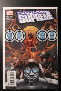 Squadron Supreme #11 (2009)