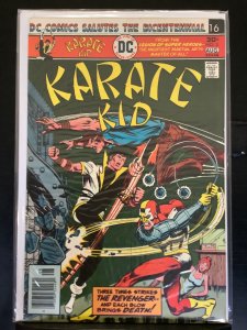 Karate Kid #3  (1976)