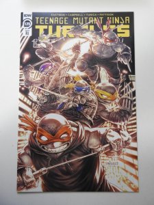 Teenage Mutant Ninja Turtles #125 RI Cover