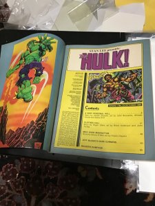 Hulk! #23 (1980) Howard Chaykin Art! Dominic fortune! Rainbow cover! FN/VF Wow!