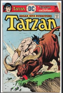 Edgar Rice Burroughs' Tarzan #248 (1976)