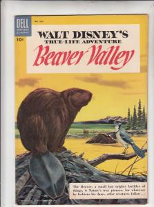 Four Color #625 (Apr-55) VF/NM High-Grade The Beaver