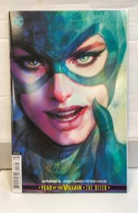 Catwoman #13 Variant Cover (2019)