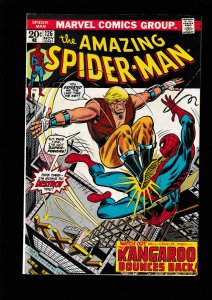 The Amazing Spider-Man #126 (1973) VFN / GERRY CONWAY & ROSS ANDRU