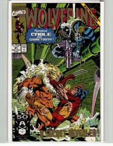 Wolverine #41 (1991) Wolverine