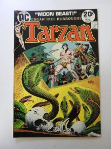 Edgar Rice Burroughs' Tarzan #225 (1973) FN/VF condition