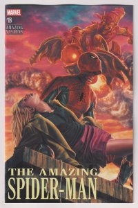 Amazing Spider-Man #18 Bermejo Variant (Marvel, 2025) VF/NM