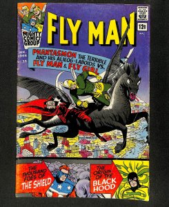 Adventures of the Fly #35