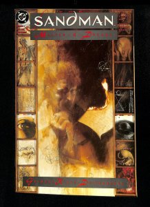 Sandman (1989) #3