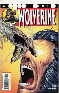Wolverine #165 (2001) Wolverine