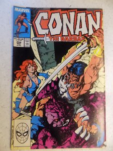 CONAN THE BARBARIAN # 204