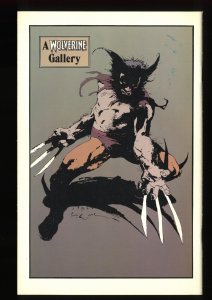Wolverine #10 Sabertooth battle!
