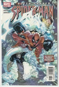Peter Parker: Spider-Man #51 (2003)