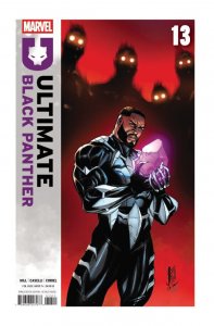Ultimate Black Panther #13 (Pick a Variant) Bagged & Boarded Marvel Comics 2025