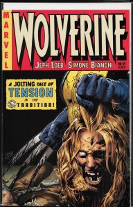 Wolverine #55 Land Cover (2007) Wolverine