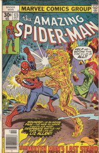 The Amazing Spider-Man # 173 VF- Marvel 1977 Molten Man Appearance [Q2]