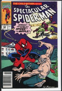 The Spectacular Spider-Man #182 (1991) Spider-Man