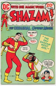Shazam! #9 (1974) Captain Marvel / Shazam!