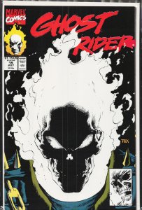Ghost Rider #15 (1991) Ghost Rider