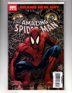 The Amazing Spider-Man #553 (2008)  [•ID#127]