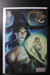 Grimm Fairy Tales presents Oz #4 Cover E - Alé Garza (2013)