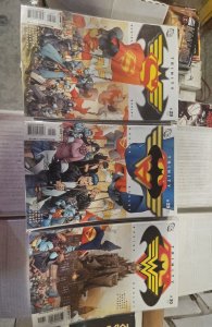 Trinity #28 ,29 ,30 (2008)