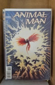 Animal Man #79 (1995)