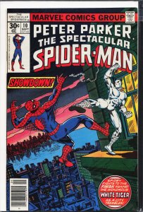 The Spectacular Spider-Man #10 (1977) Spider-Man