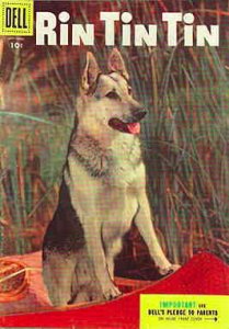Rin Tin Tin #10 FN ; Dell | September 1955 dog