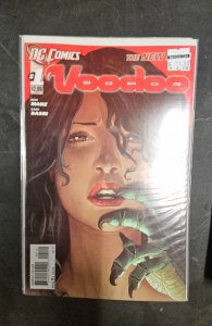 Voodoo #1 Second Print Cover (2011)