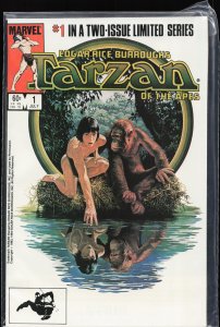 Tarzan of the Apes #1 Direct Edition (1984) Tarzan