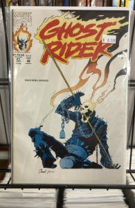 Ghost Rider #21 (1992)