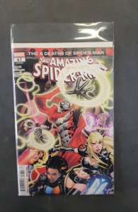 The Amazing Spider-Man #67 (2025)