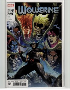 Wolverine #29 (2023) Wolverine