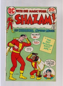 SHAZAM! #9 - TATJANA WOOD COVER (8.0) 1974