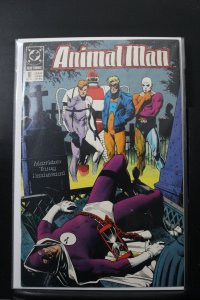Animal Man #16 (1989)