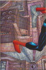 Peter Parker: Spider-Man #1 (1999) - NM