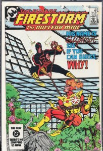 The Fury of Firestorm #28 (1984) Firestorm [Key Issue]