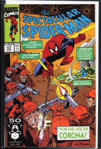 The Spectacular Spider-Man #177 (1991) Spider-Man