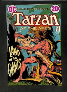 Tarzan (1972) #211