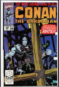 Conan the Barbarian #236 (1990) Conan