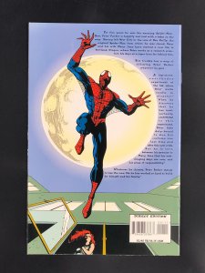 Spider-Man: The Final Adventure #1 (1995)